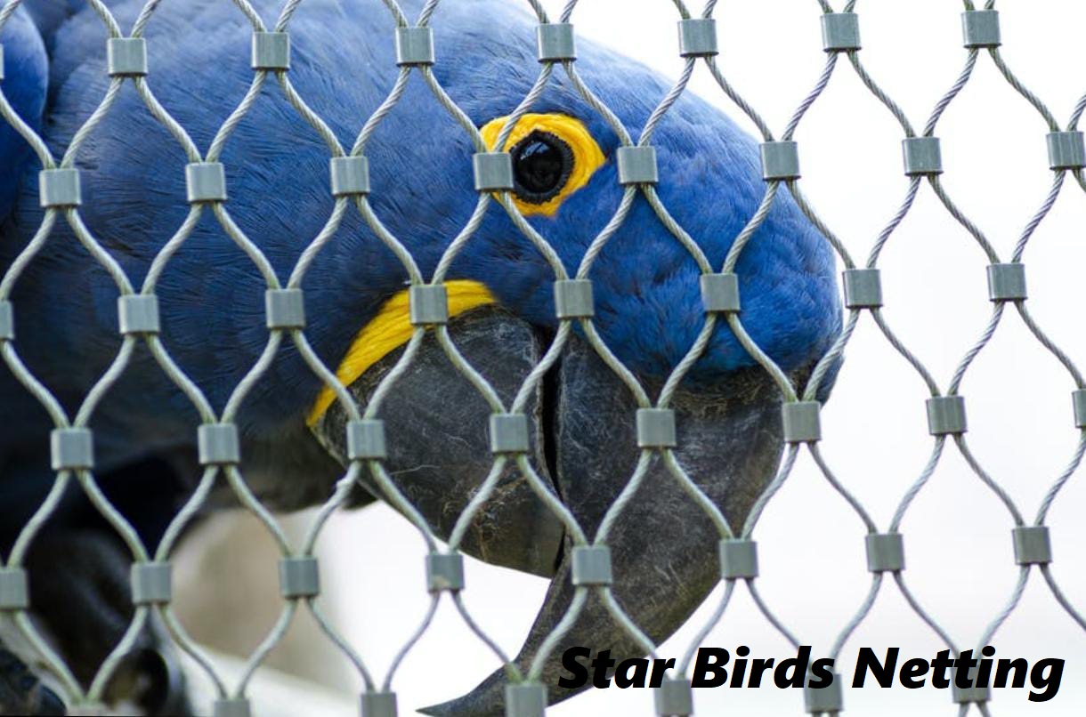 Star Birds Netting & Pest Control